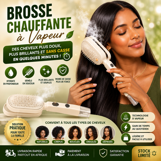 Brosse Électrique à Vapeur pour Cheveux