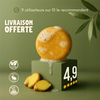 Shampoing Antipelliculaire & Anti-chute au Gingembre.